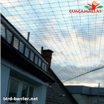 bird net installed on houses