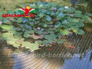 bird barrier net used on pond 