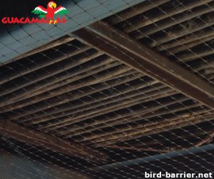 Anti bird agriculture mesh